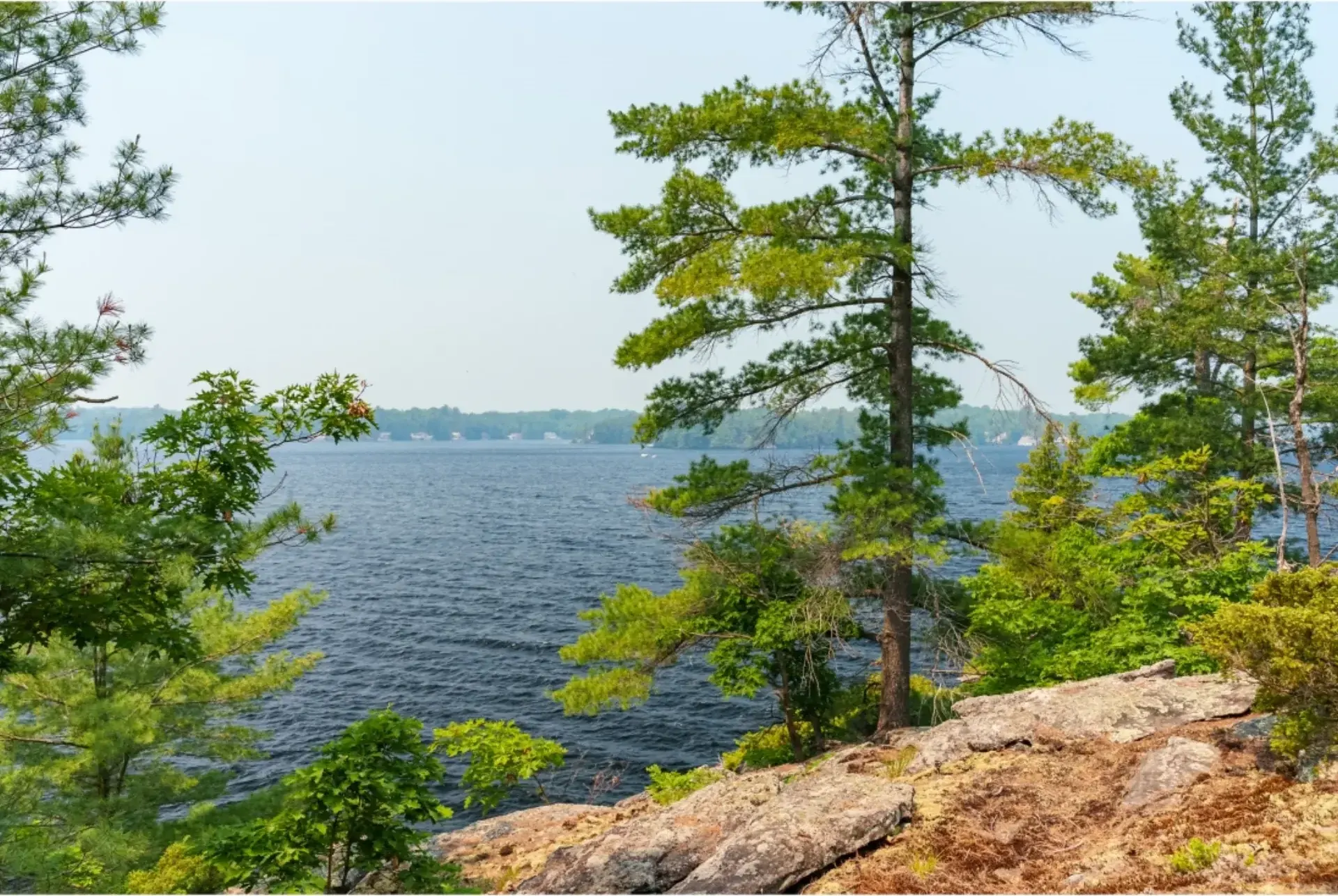 Bass Island, gallery