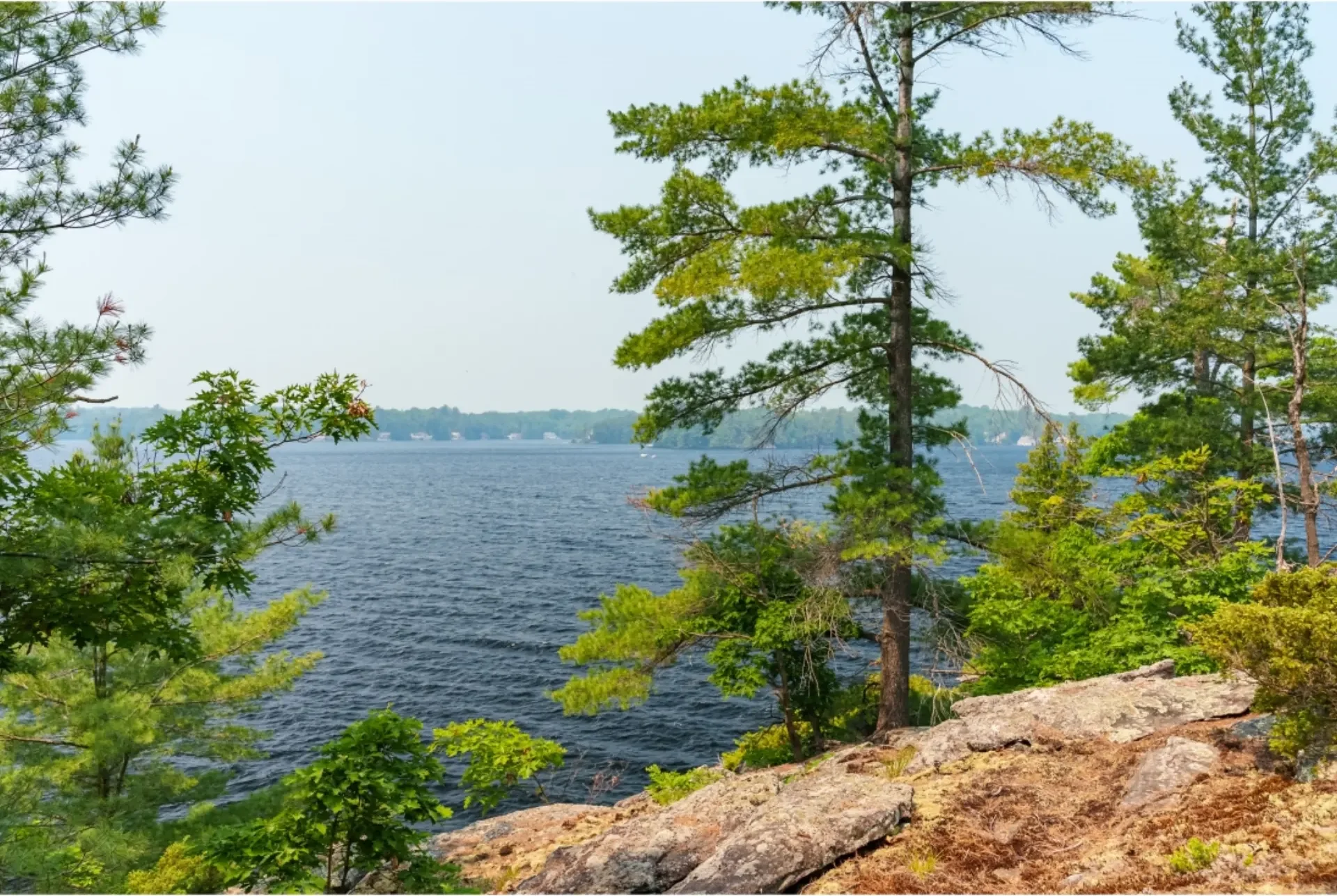Bass Island, gallery